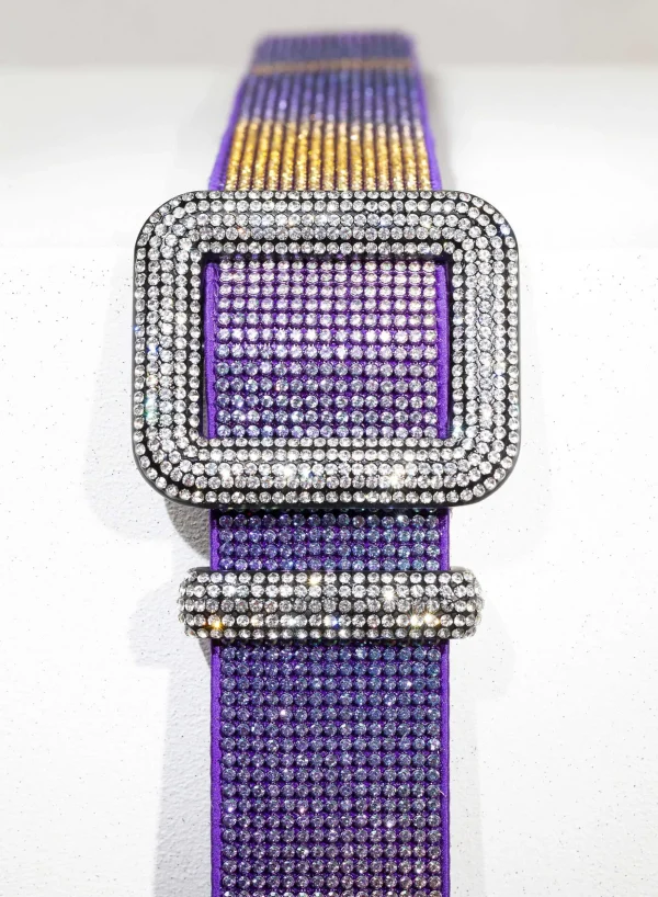 Benedetta Bruzziches Venus Belt The Living Daylight> Belts